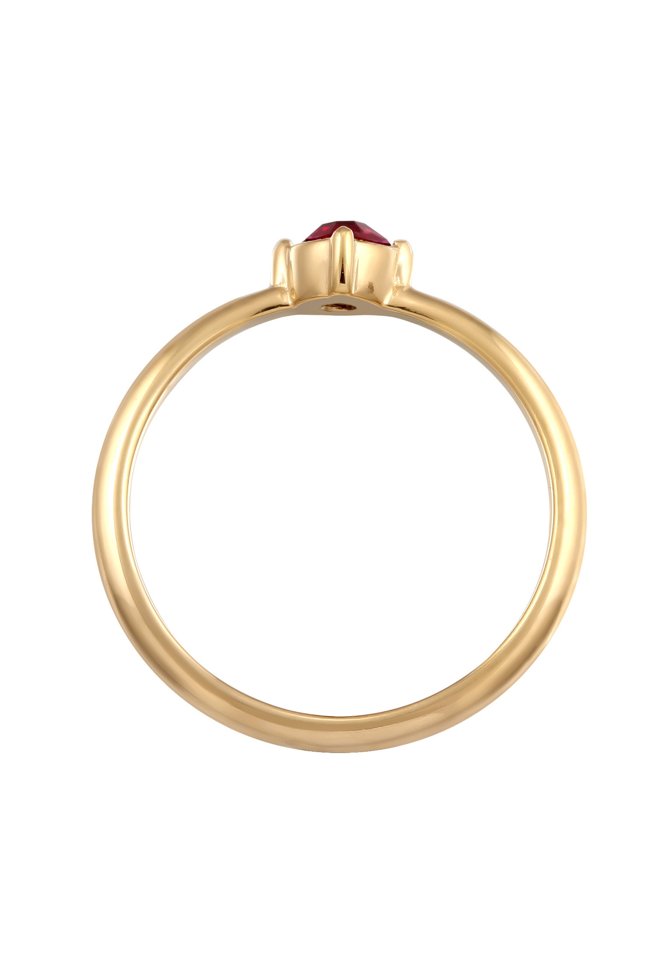 ELLI Ring in Goud