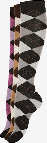 Yenita - Meias pelo joelho em castanho: frente