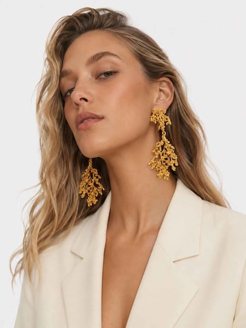 RteRmeNaušnice 'Thessaly Earrings' - zlatna boja: prednji dio