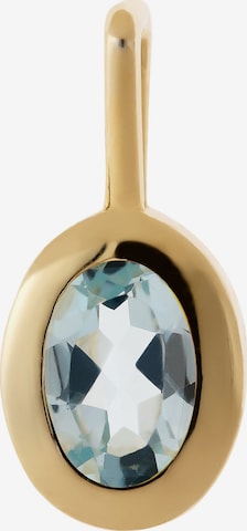 FAVS Anhänger in Gold: Vorderseite