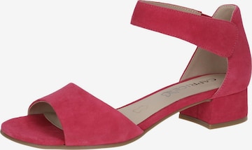 CAPRICE Sandals in Pink: front
