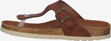 COSMOS COMFORT T-Bar Sandals in Brown