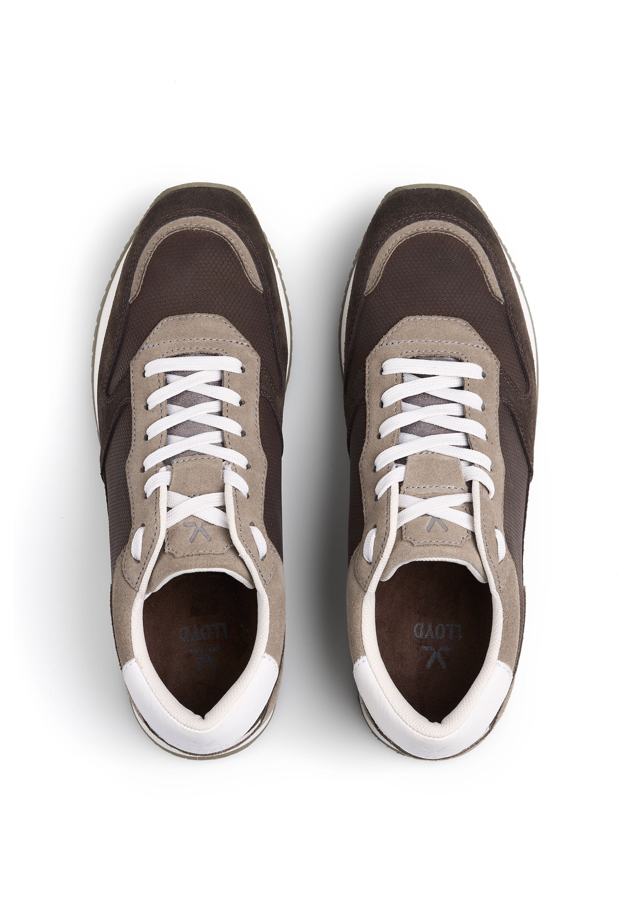 Baskets basses LLOYD en marron