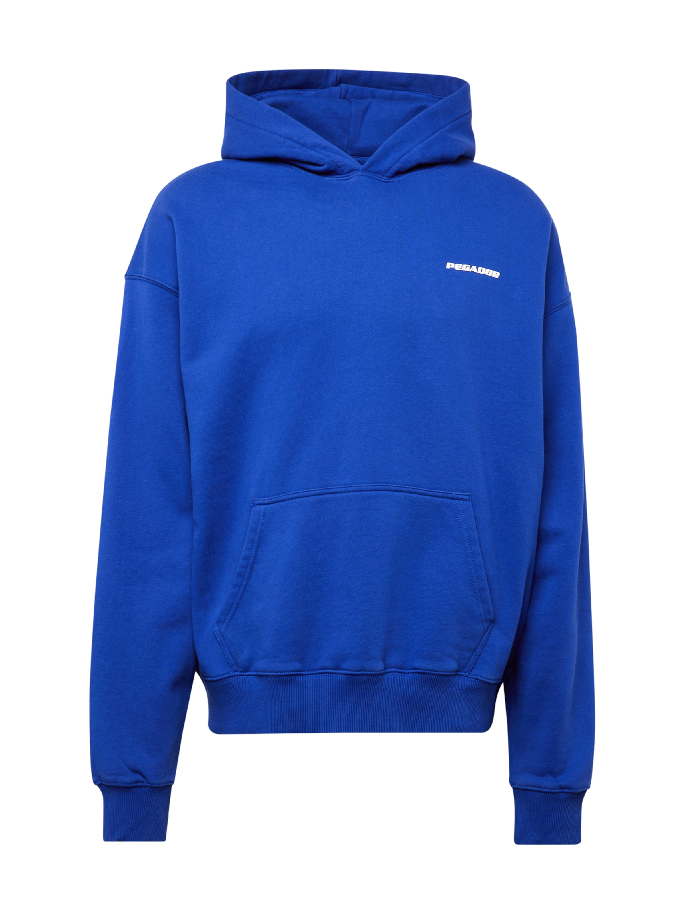 Pegador Свитшот в Синий: спереди