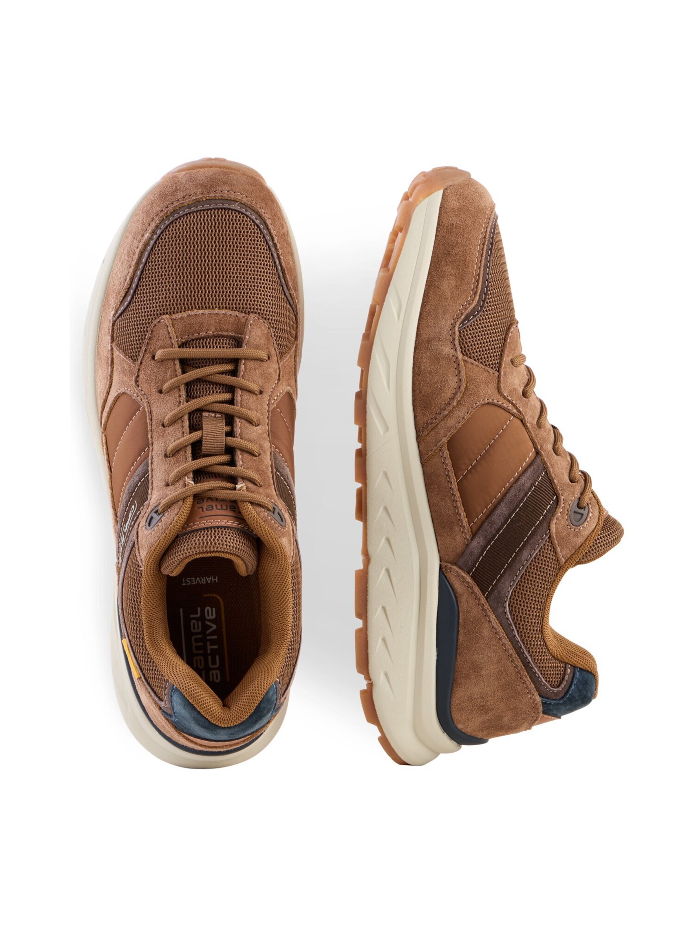 CAMEL ACTIVE Sneakers in Brown