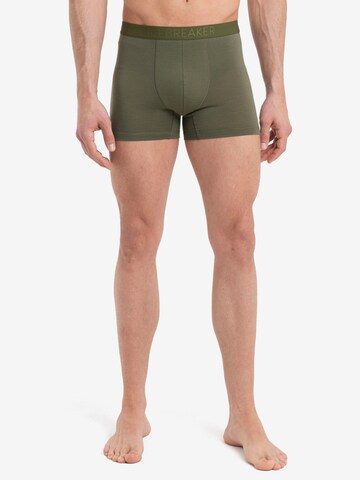 ICEBREAKER Boxer shorts 'Anatomica' in Green: front