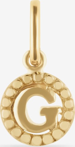 FAVS Anhänger in Gold: Vorderseite