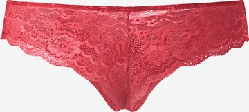 LASCANA Kalhotky – pink: zadní strana