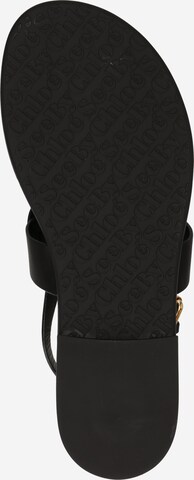 See by Chloé T-Bar Sandals 'CHANY' in Black