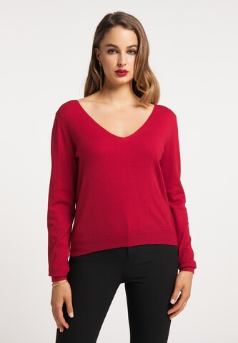 Pull-over faina en rouge : devant