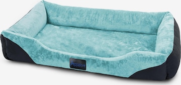 Accessoires pour animaux 'Hanko' Aspero en bleu : devant