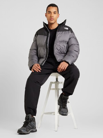 THE NORTH FACE Функциональная куртка 'SAIKURU' в Серый