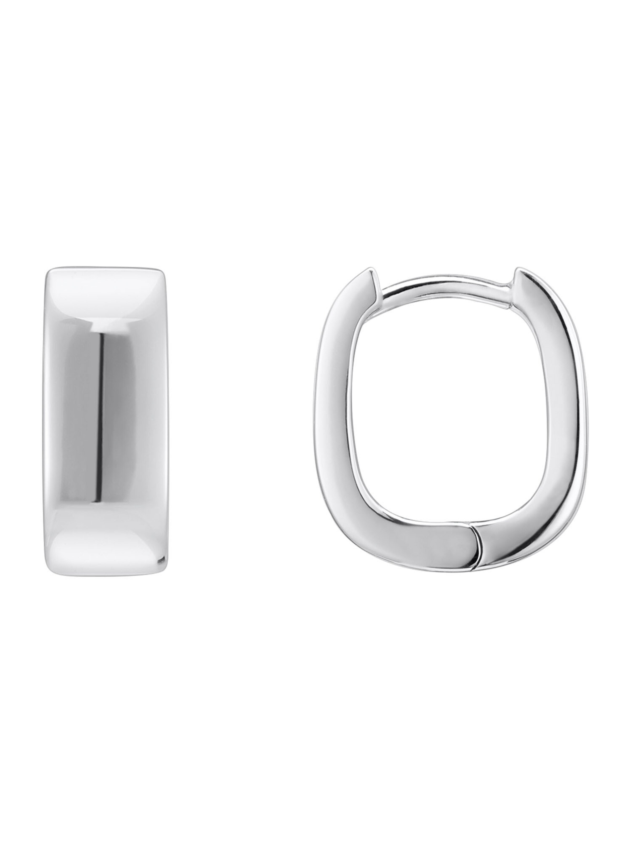 Thomas Sabo Earrings in Silver: front