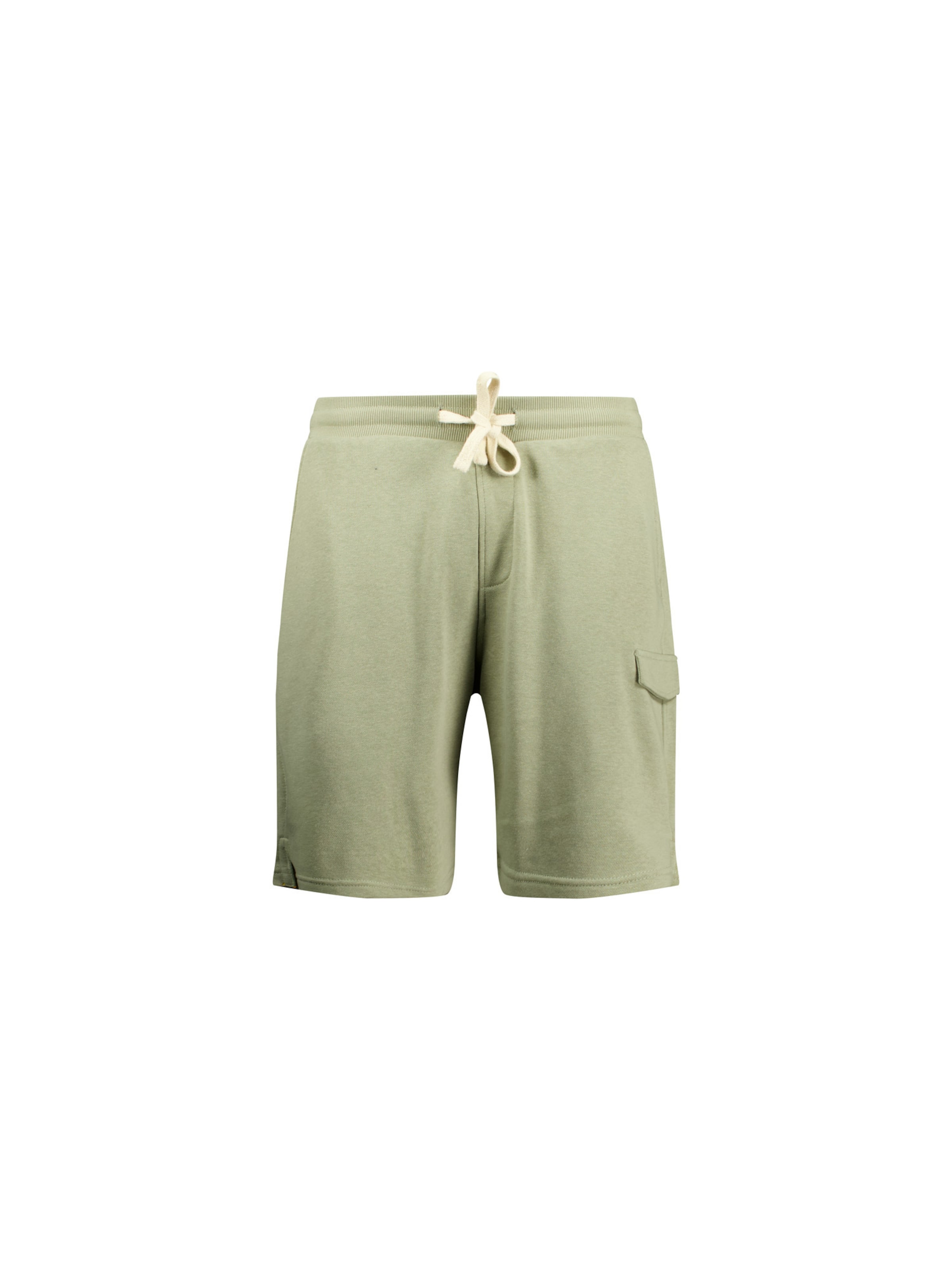 Regular Pantalon ' KOA ' Deeluxe en vert : devant
