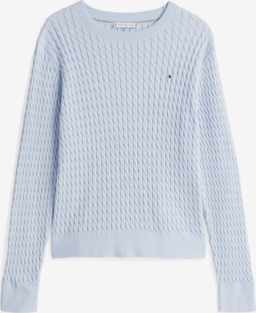 zils TOMMY HILFIGER Džemperis: no priekšpuses