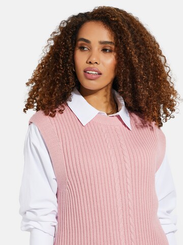 Threadbare Pullover 'Joey' in Pink