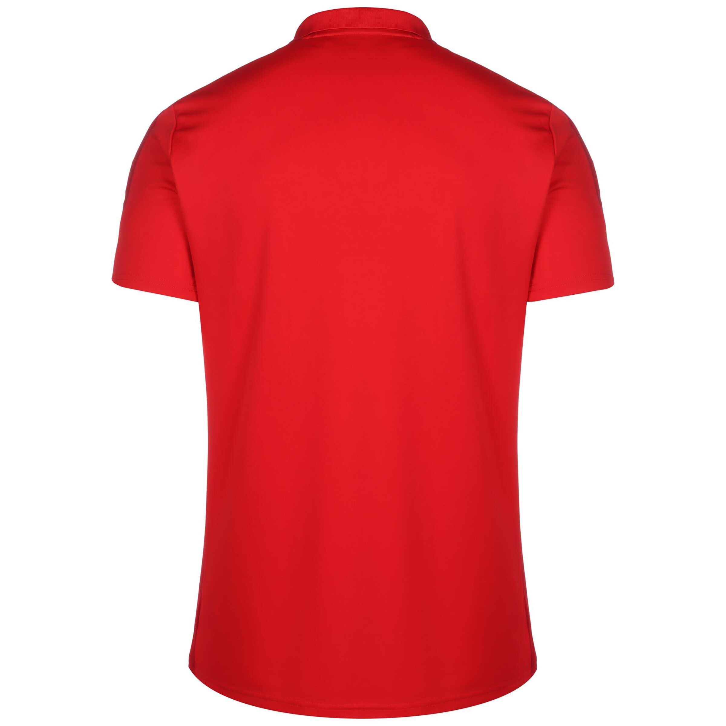NIKE Funktionsshirt 'Academy 23' in Rot