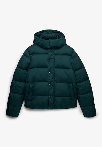Superdry & Co Winter Jacket 'Premium' in Green