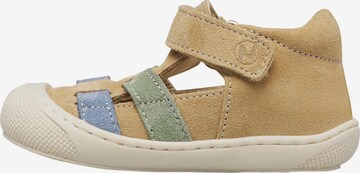 NATURINO Open shoes in Green: front