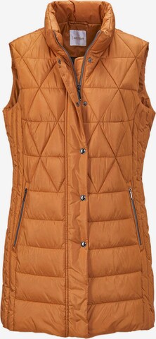 Gilet Goldner en marron : devant