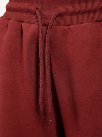 Smilodox Regular Broek in Bruin