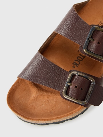 BIRKENSTOCK Пантолеты 'Arizona' в Коричневый