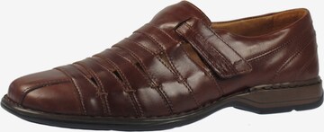 JOSEF SEIBEL Tapered Classic Flats 'Steven' in Brown: front