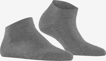 FALKE Socks in Grey