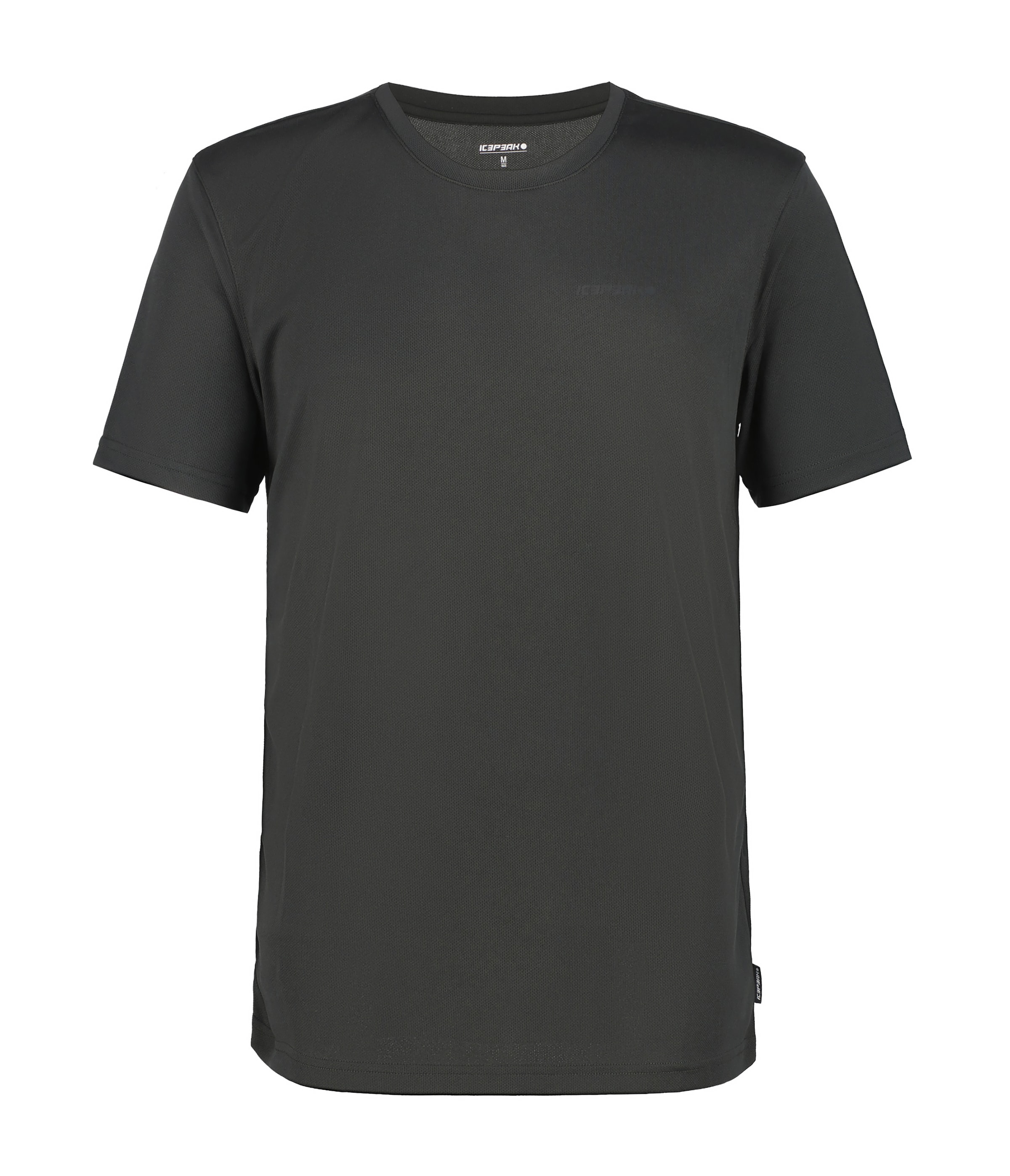 ICEPEAK Toiminnallinen paita 'Berne' värissä harmaa: etupuoli