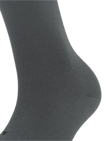 FALKE Socken 'Stabilizing Wool Everyday'‌‌‌‌‌‌‌‌‌ in Silber