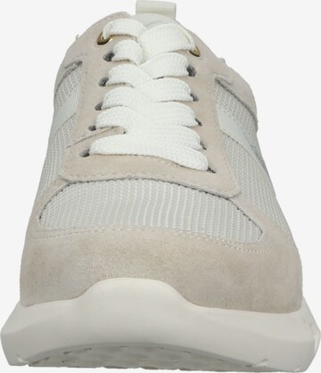 Sneaker bassa di ARA in beige