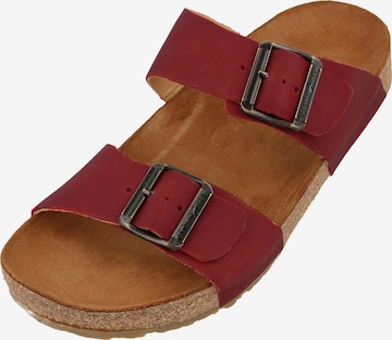 HAFLINGER Pantolette 'Bio Andrea' in Rot: Vorderseite