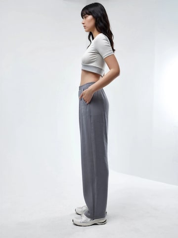 Barrel Pantalon Busem en gris