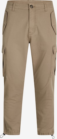 Redefined Rebel Regular Trousers 'RRPLJolan' in Brown: front