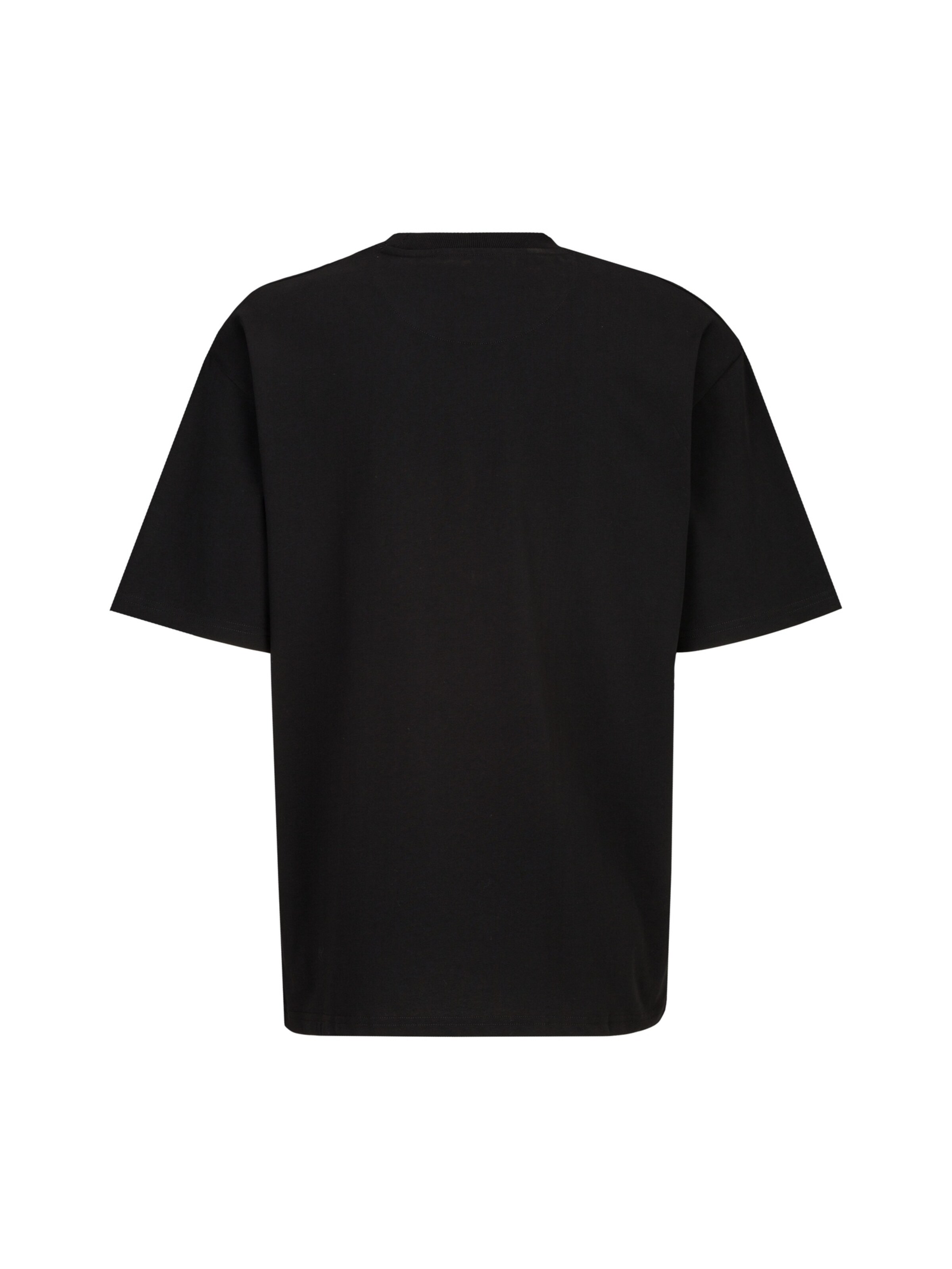 T-Shirt 'Tamaro Wintergames' 19V69 ITALIA en noir