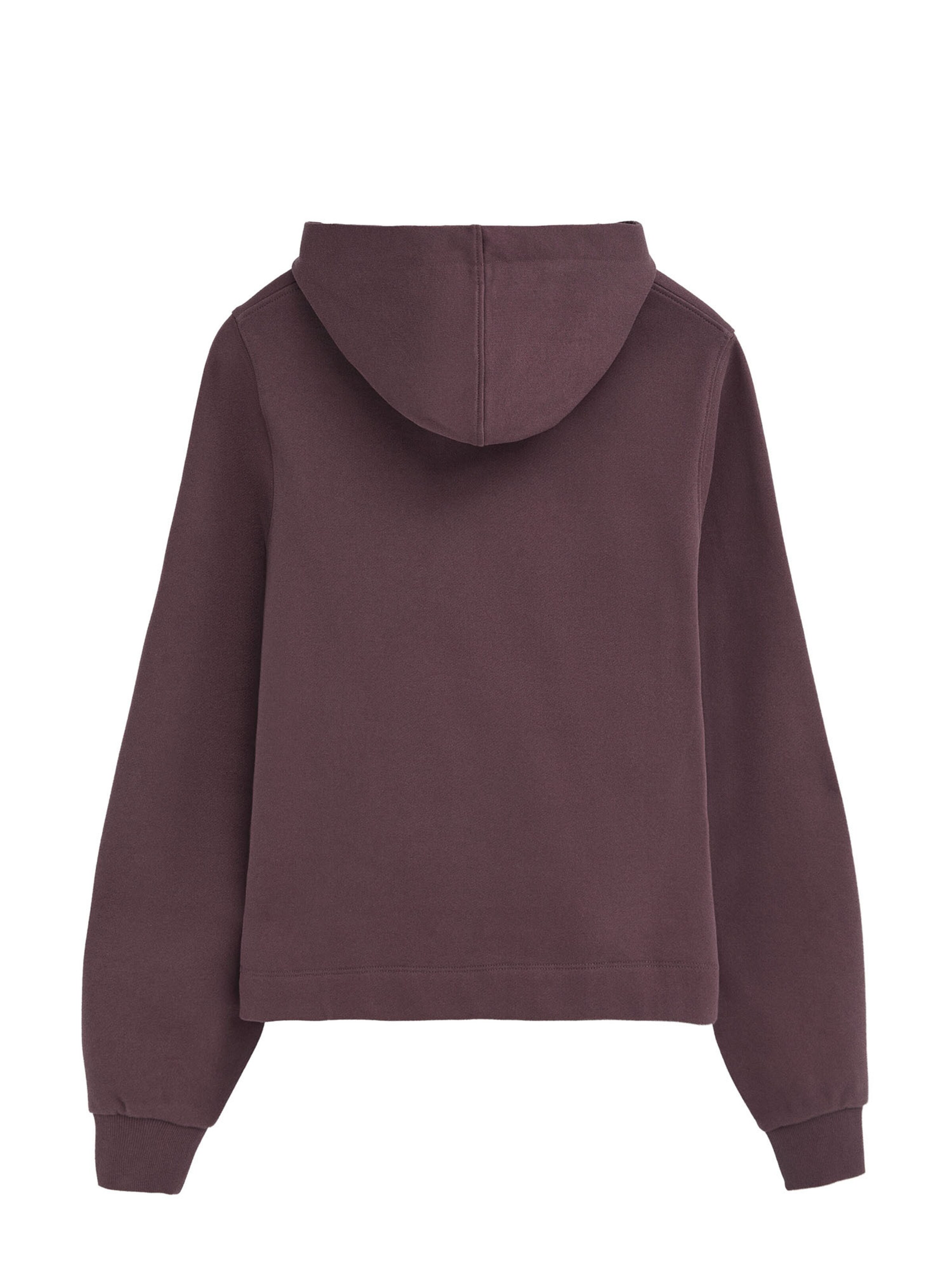 Polo Club Sweatshirt in Purple