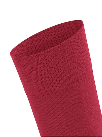 FALKE Socken 'Sensitive New York'‌‌‌‌‌‌‌‌‌‌ in Rot