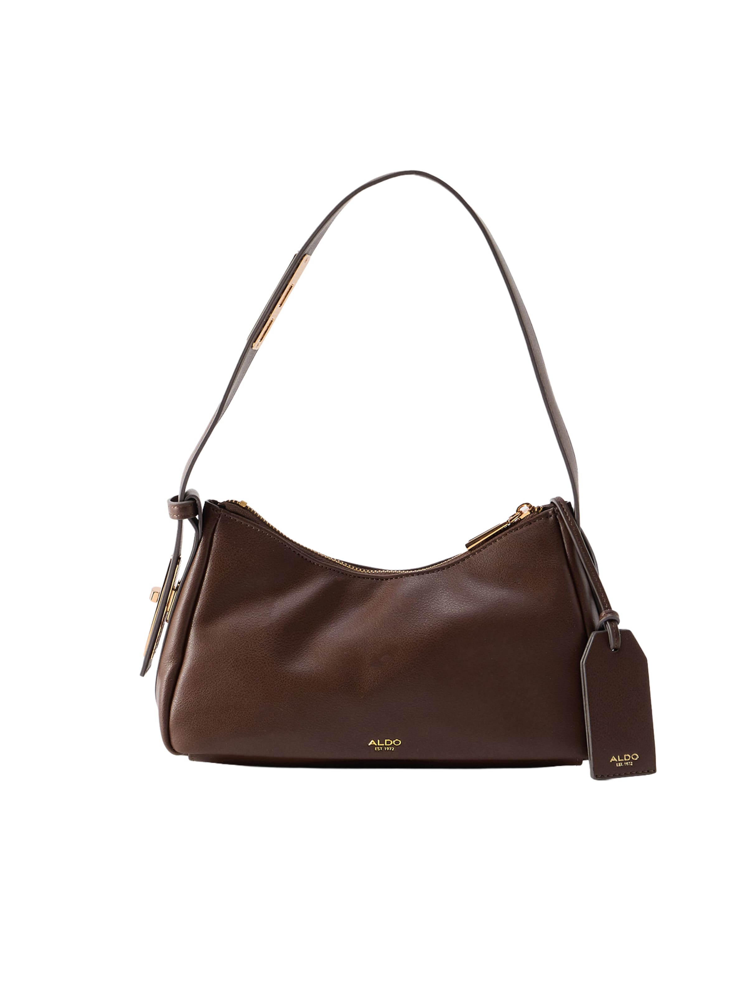 ALDO Shoulder Bag 'CHARLAUTTE' in Brown: front