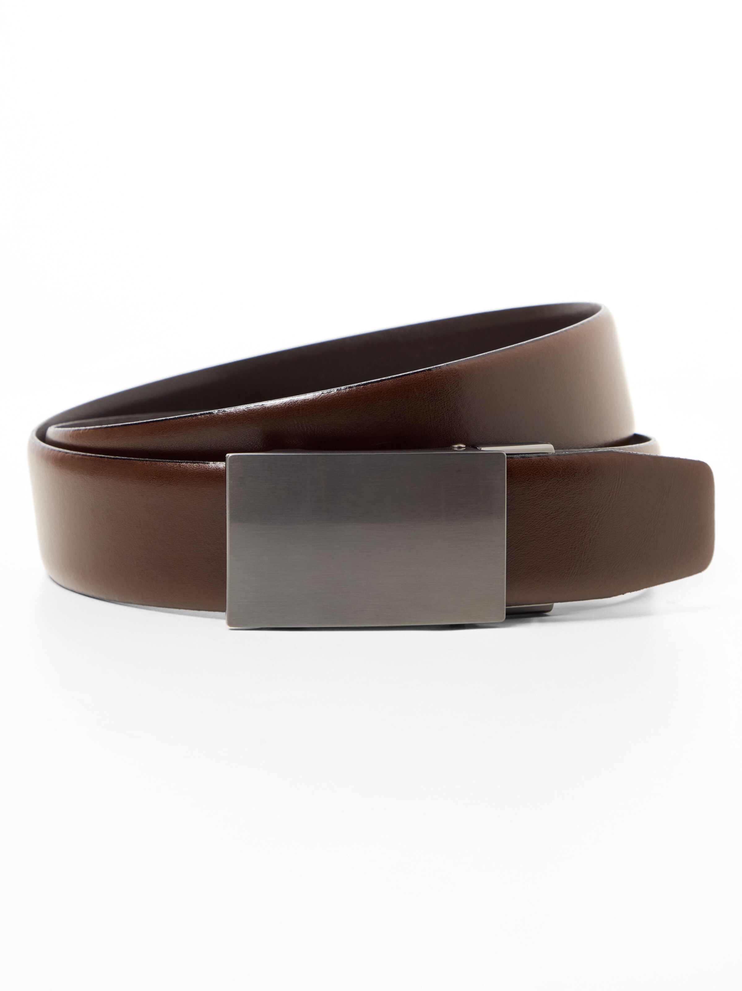 CONDOR Belt in 85 in Chocolate, Item view