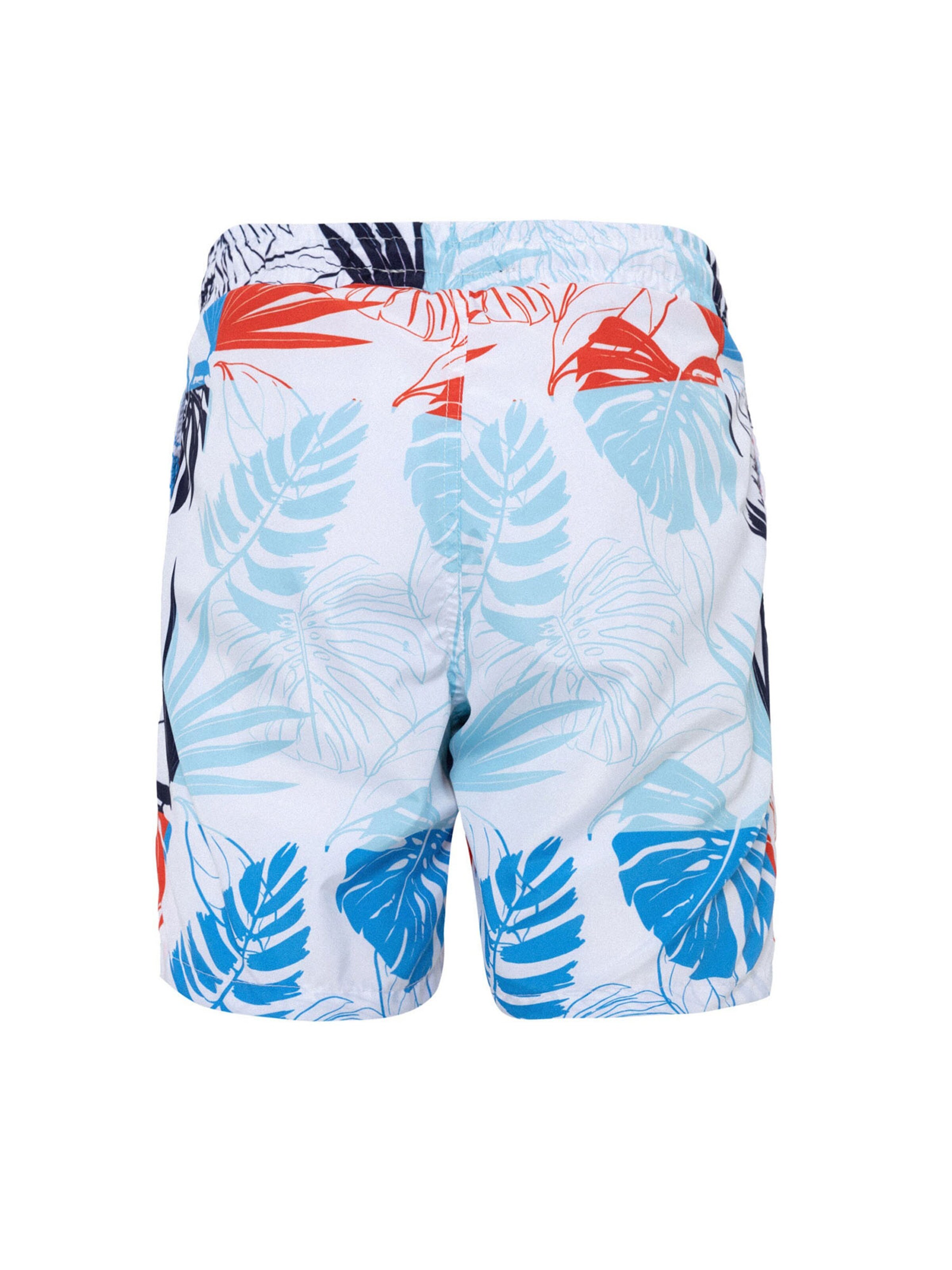 Daniel Hills Badshorts i blandade färger