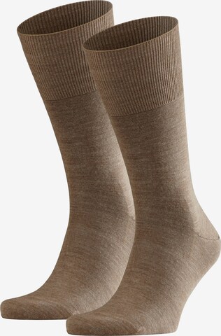 FALKE Socks in Brown: front