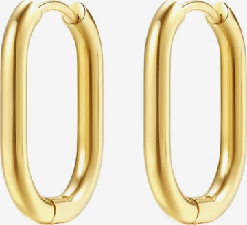 Hey Happiness Earrings 'Ellipse' in Gold: front