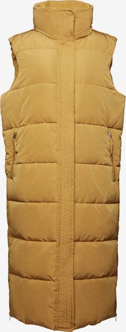 ESPRIT Bodywarmer in Beige: voorkant