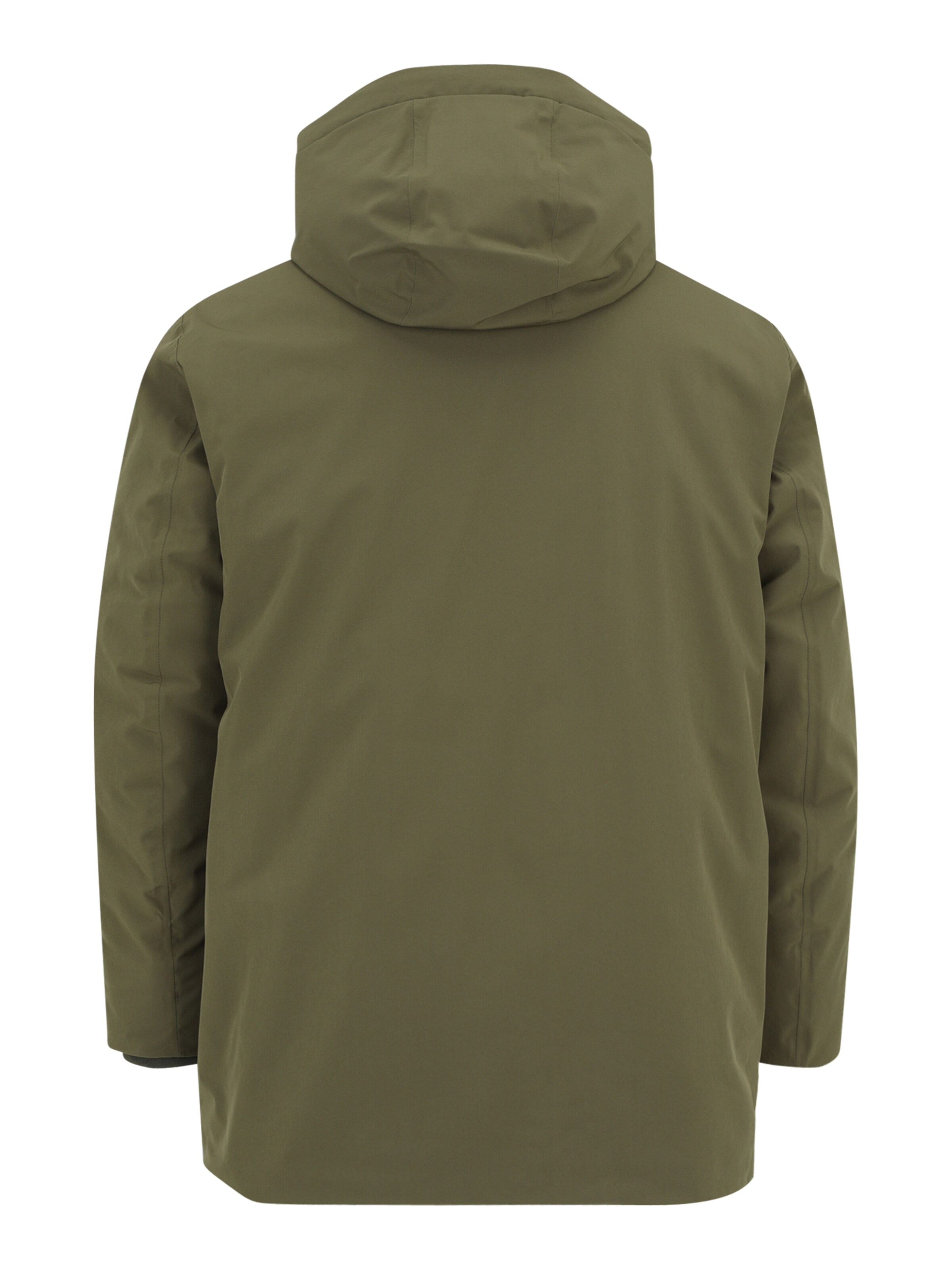 Jack & Jones Plus Vinterparka 'JJEKeen' i grøn