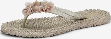 Tongs 'Cheerful18F' ILSE JACOBSEN en gris : devant