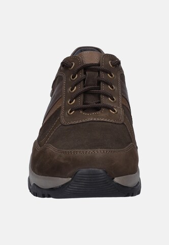 JOSEF SEIBEL Lace-up shoe 'Leroy 56' in Brown