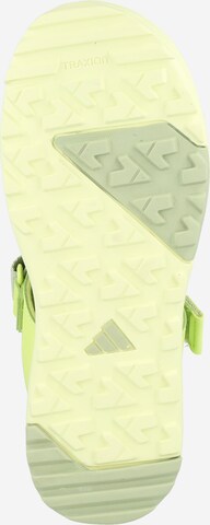 ADIDAS TERREX Sandal 'CAPTAIN TOEY' i grön