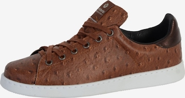 Chaussure de sport à lacets victoria en marron : devant