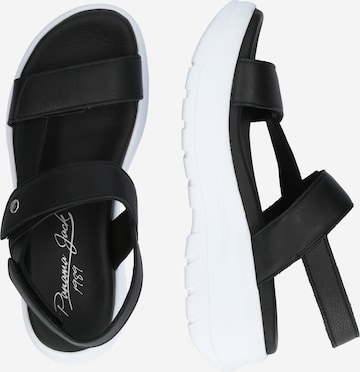 PANAMA JACK Sandal 'Noor B6' i svart