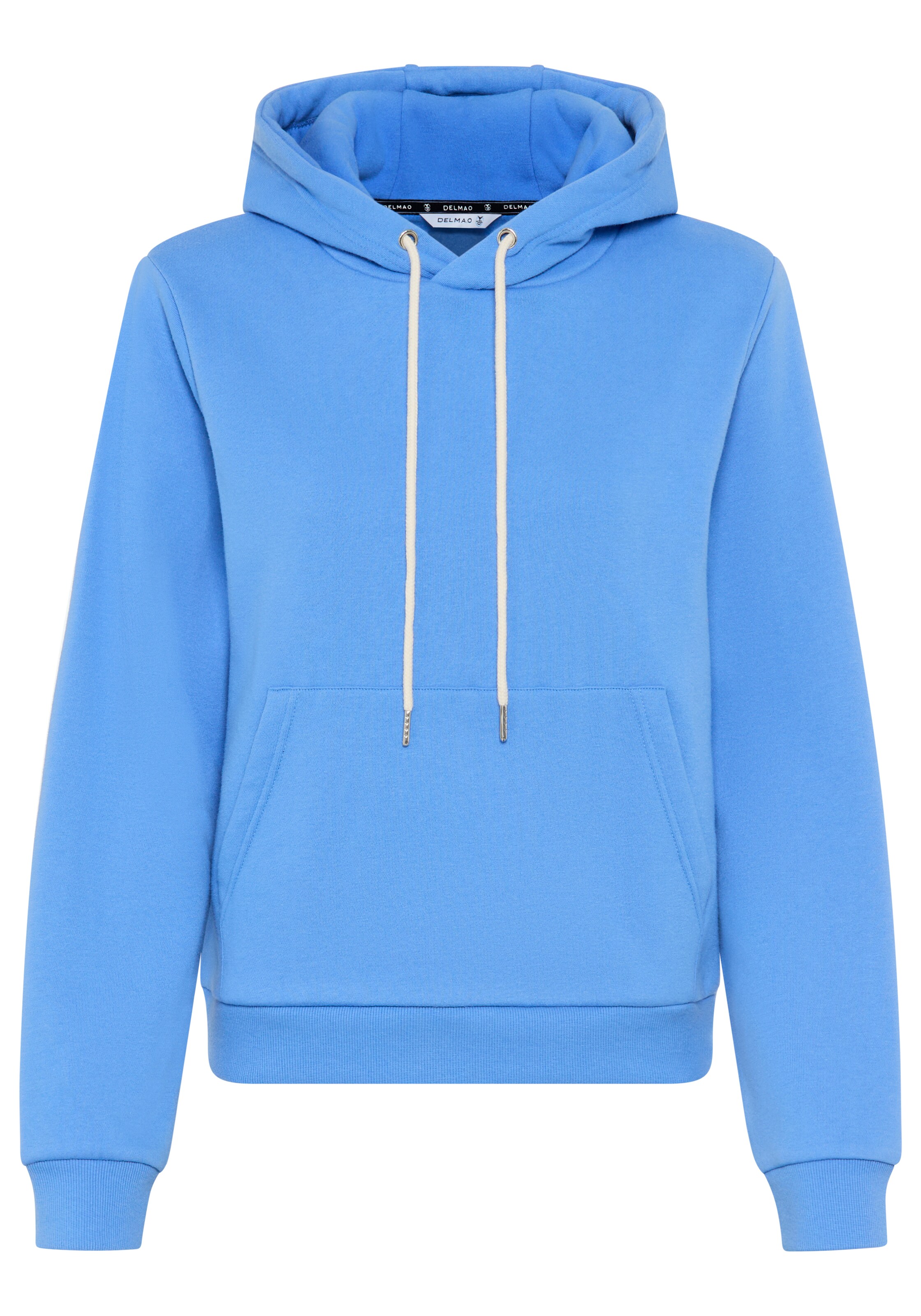 DELMAO Sweatshirt in Blue: front